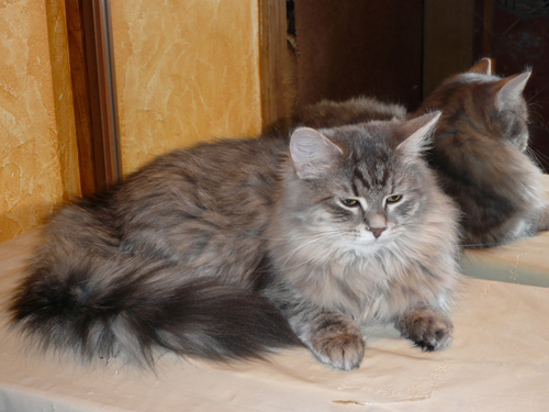 ���������